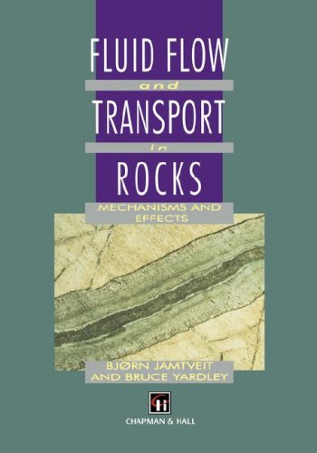 Book Cover Fluid Flow and Transport in Rocks: Mechanisms and effects