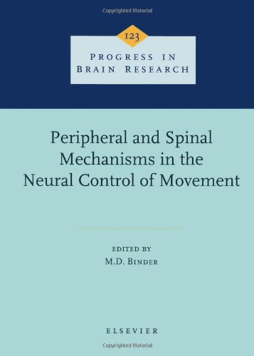 Book Cover Peripheral and Spinal Mechanisms in the Neural Control of Movement, Volume 123 (Progress in Brain Research)