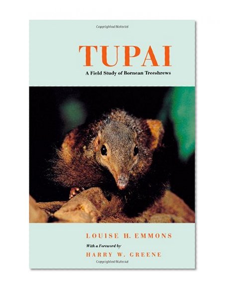 Book Cover Tupai: A Field Study of Bornean Treeshrews (Organisms and Environments)
