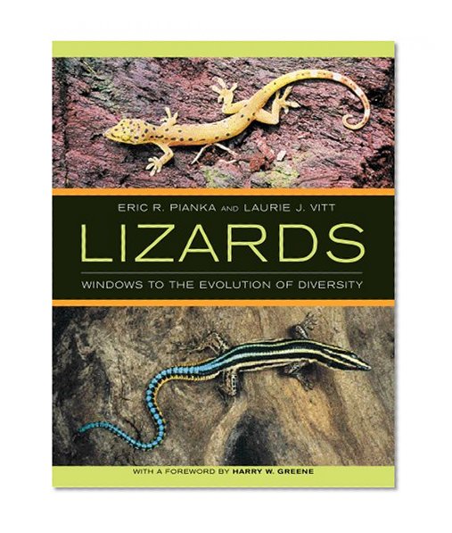 Book Cover Lizards: Windows to the Evolution of Diversity (Organisms and Environments)