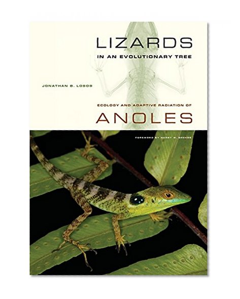 Book Cover Lizards in an Evolutionary Tree: Ecology and Adaptive Radiation of Anoles (Organisms and Environments)