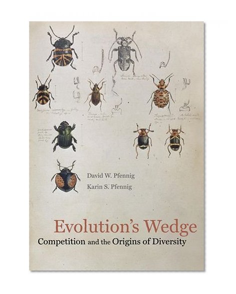 Book Cover Evolution's Wedge: Competition and the Origins of Diversity (Organisms and Environments)