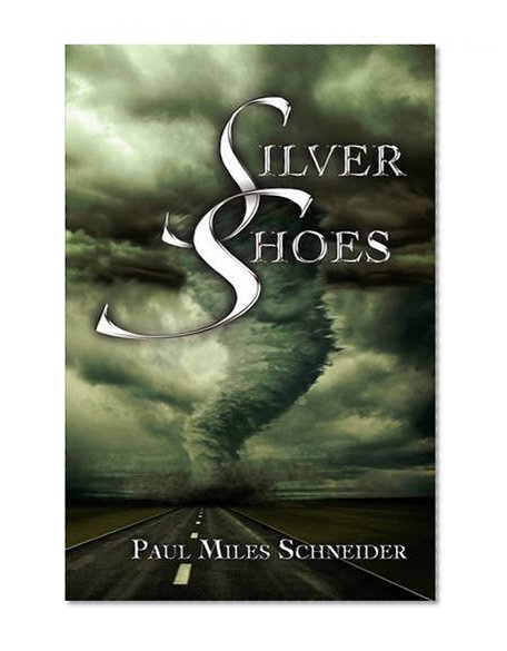 Book Cover Silver Shoes