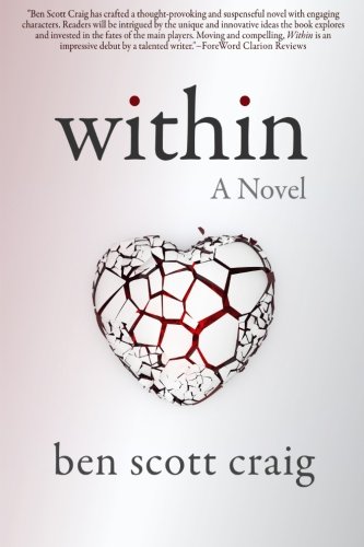 Book Cover Within: A Medical Suspense Novel