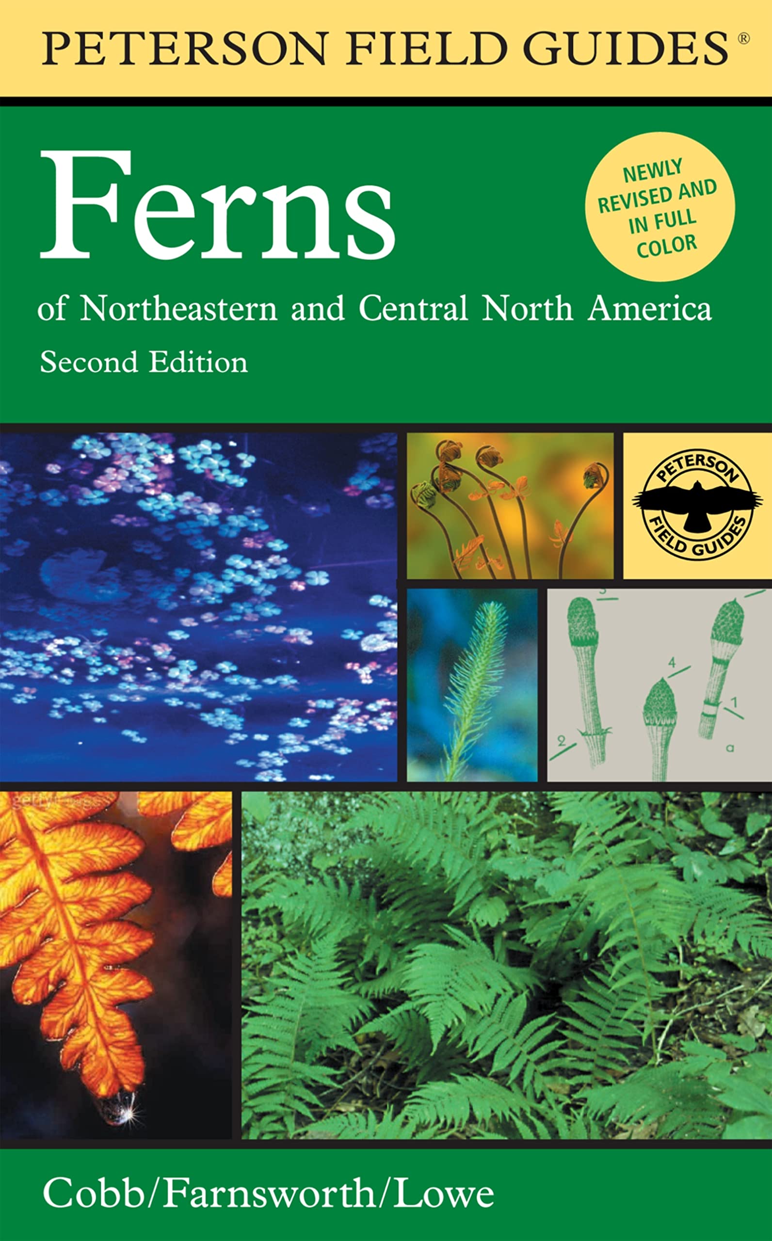 Book Cover Peterson Field Guide to Ferns: Northeastern and Central North America, 2nd Edition
