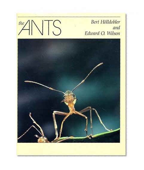Book Cover The Ants
