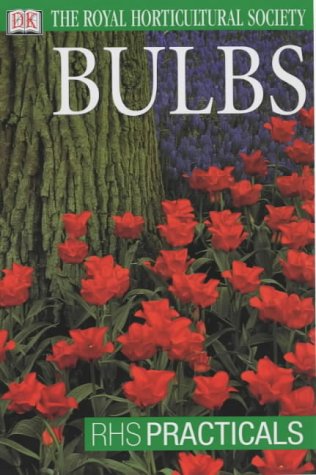 Book Cover Bulbs