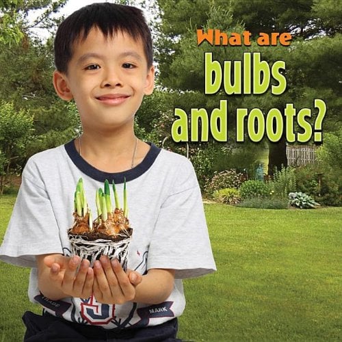 Book Cover What Are Bulbs and Roots? (Plants Close-Up)