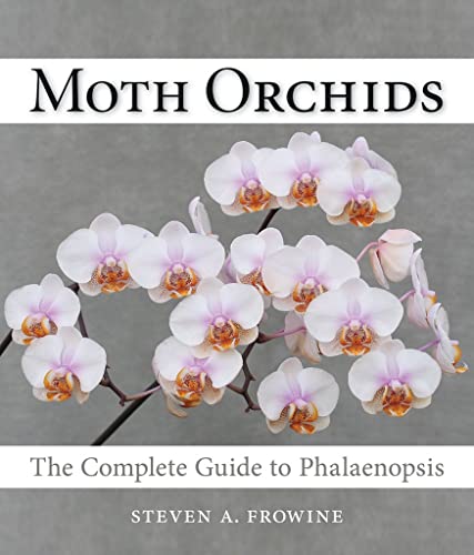 Book Cover Moth Orchids: The Complete Guide to Phalaenopsis