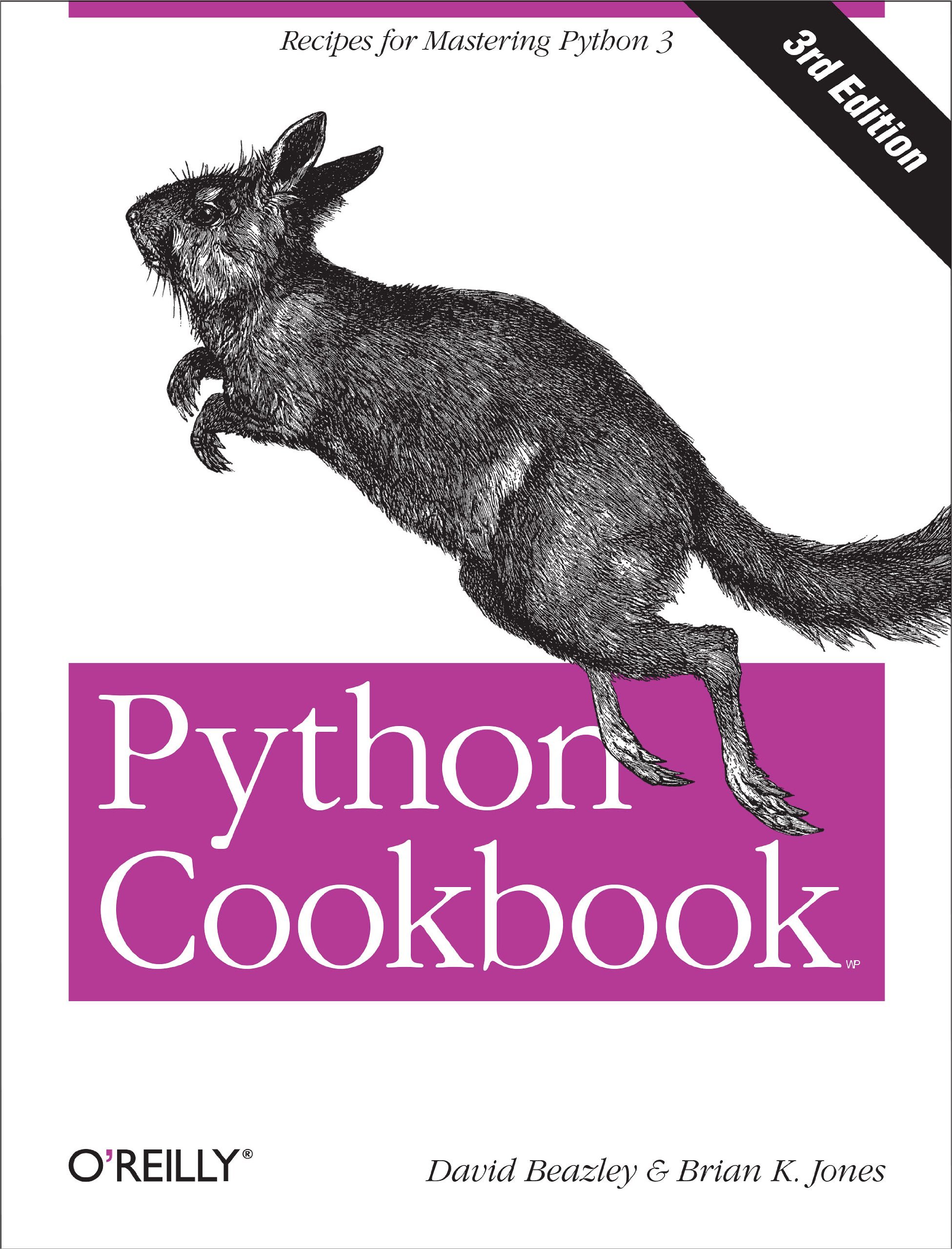 Book Cover Python Cookbook, Third Edition