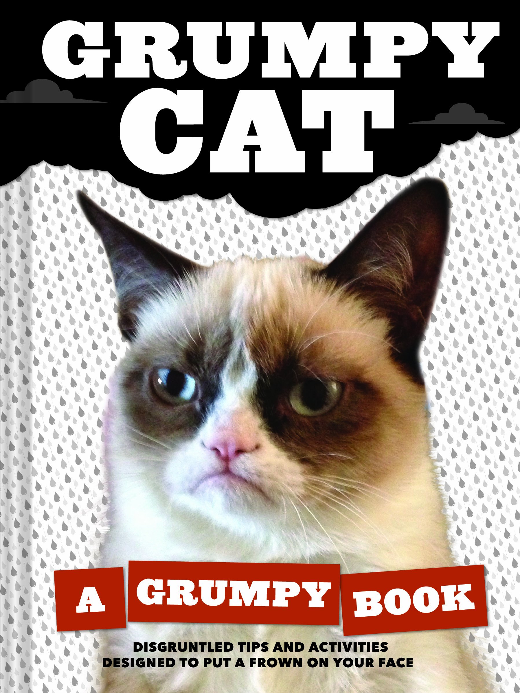 Book Cover Grumpy Cat: A Grumpy Book (Unique Books, Humor Books, Funny Books for Cat Lovers)
