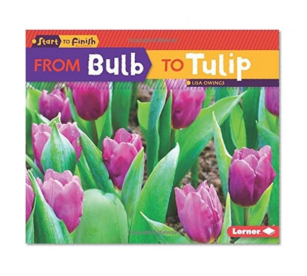 Book Cover From Bulb to Tulip (Start to Finish)