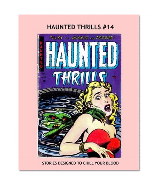 Book Cover Haunted Thrills #14: Terror Stories to Chill Your Blood --- All Stories -- No Ads