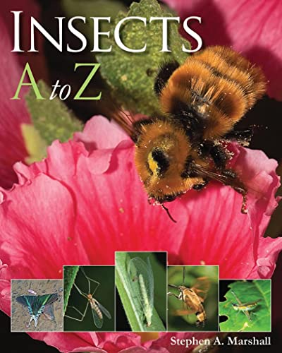 Book Cover Insects A to Z (A to Z (Firefly Books))