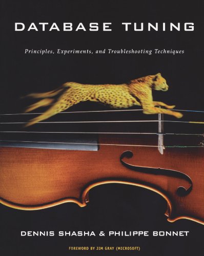 Book Cover Database Tuning: Principles, Experiments, and Troubleshooting Techniques (The Morgan Kaufmann Series in Data Management Systems)