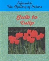 Book Cover Bulb to Tulip (Lifewatch Series)