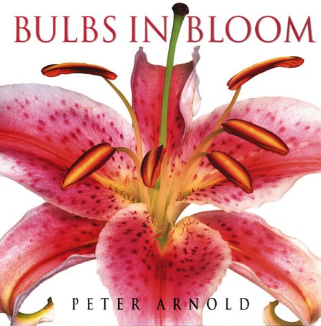 Book Cover Bulbs in Bloom