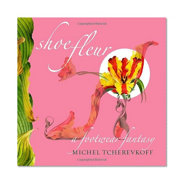Book Cover Shoe Fleur: A Footwear Fantasy