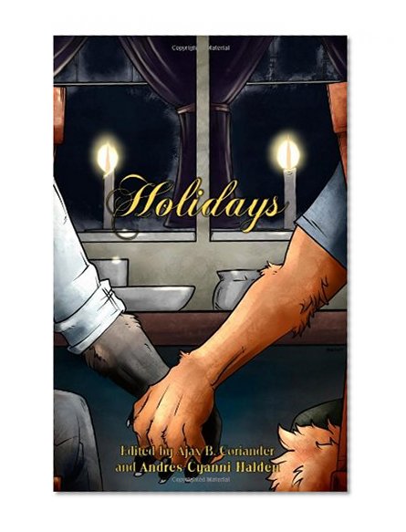 Book Cover Holidays