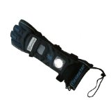 Gliomastix Gueguen (Mycological Paper)