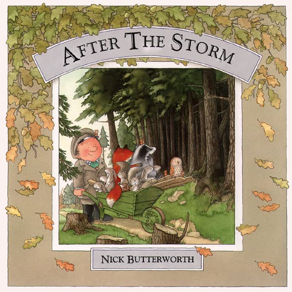 Book Cover After the Storm