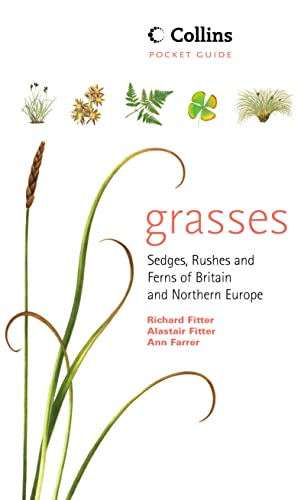 Book Cover Grasses, Sedges, Rushes and Ferns of Britain and Northern Europe (Collins Pocket Guide)