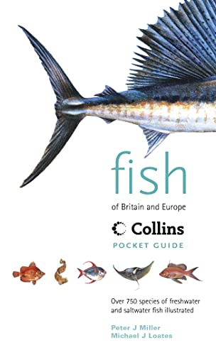 Book Cover Fish of Britain & Europe (Collins Pocket Guide)