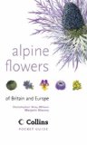 Alpine Flowers: Of Britain and Europe (Collins Pocket Guide)