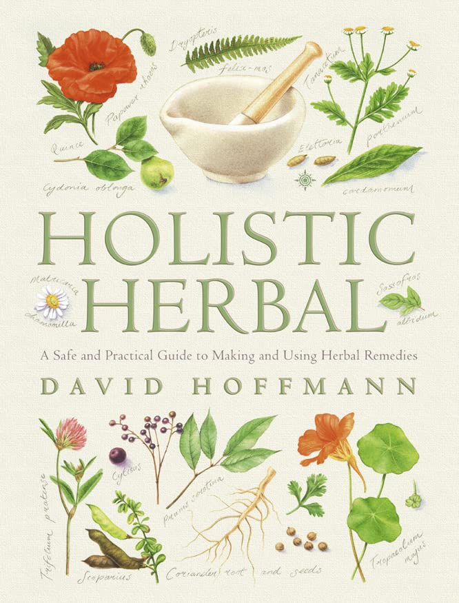 Book Cover Holistic Herbal: A Safe and Practical Guide to Making and Using Herbal Remedies