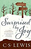 Surprised by Joy