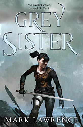 Book Cover Grey Sister