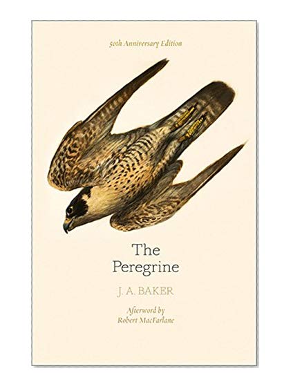 Book Cover The Peregrine: 50th Anniversary Edition: Afterword by Robert Macfarlane