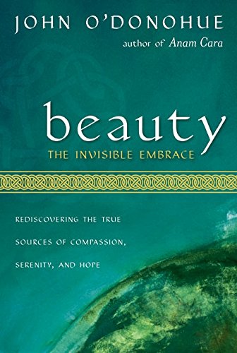 Book Cover Beauty: The Invisible Embrace
