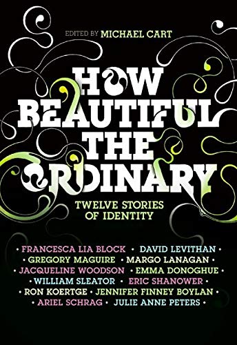 Book Cover How Beautiful the Ordinary: Twelve Stories of Identity