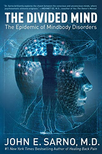 Book Cover The Divided Mind: The Epidemic of Mindbody Disorders