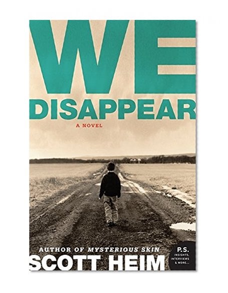 Book Cover We Disappear: A Novel