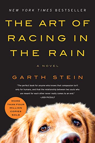 Book Cover The Art of Racing in the Rain: A Novel