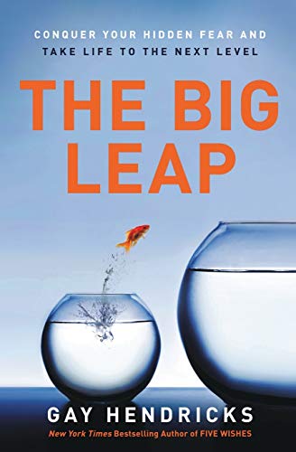 Book Cover The Big Leap: Conquer Your Hidden Fear and Take Life to the Next Level