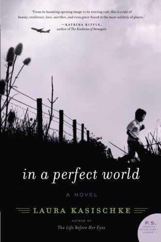 Book Cover In a Perfect World: A Novel