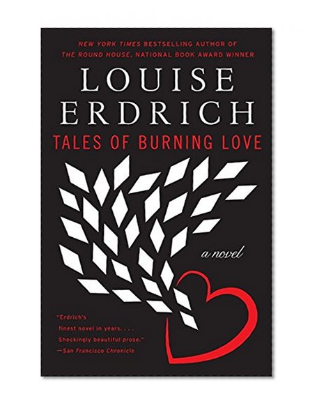 Book Cover Tales of Burning Love: A Novel