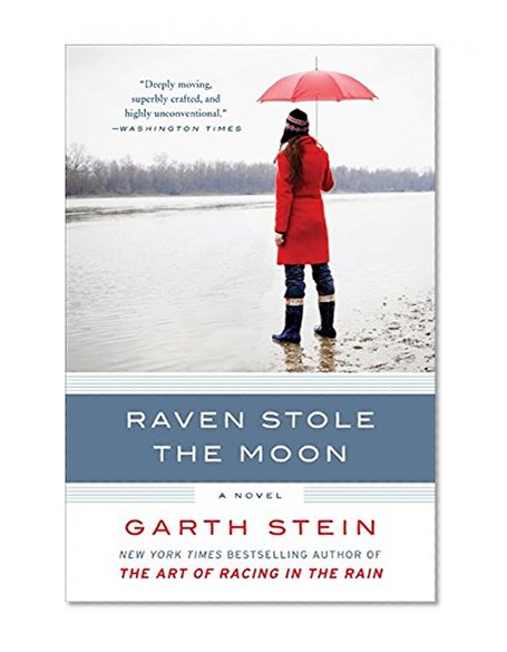 Book Cover Raven Stole the Moon: A Novel
