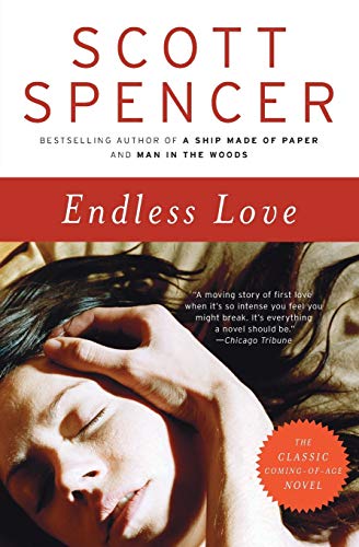 Book Cover Endless Love: A Novel
