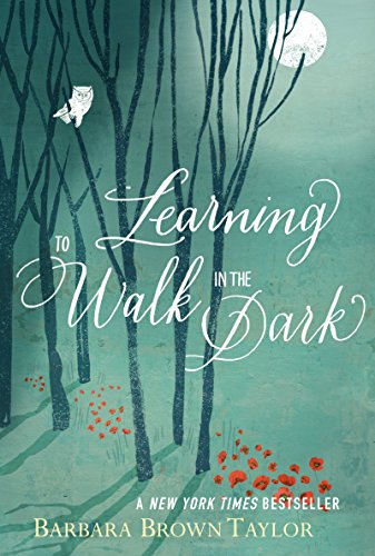 Book Cover Learning to Walk in the Dark