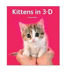 Kittens in 3-D