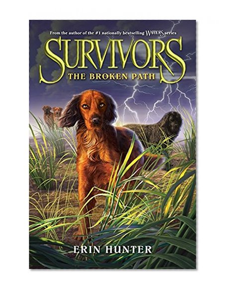 Book Cover Survivors #4: The Broken Path