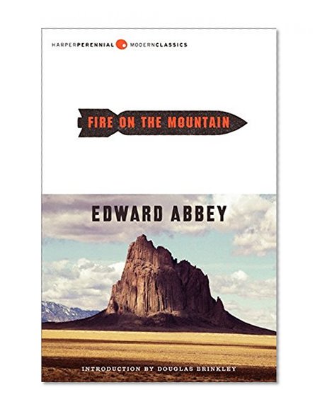 Book Cover Fire on the Mountain
