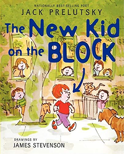 Book Cover The New Kid on the Block