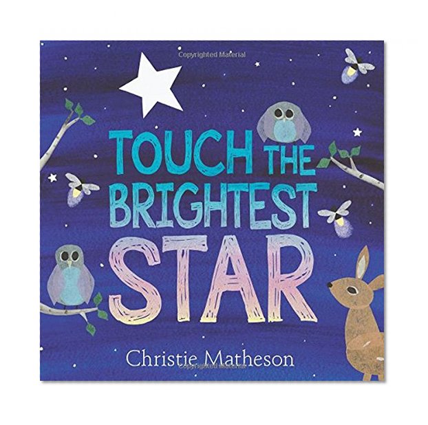 Book Cover Touch the Brightest Star