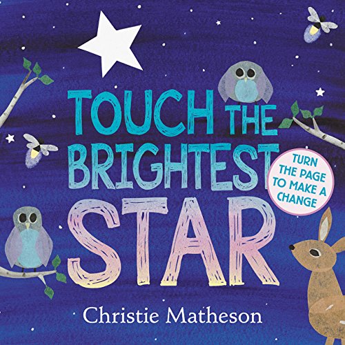 Book Cover Touch the Brightest Star Board Book