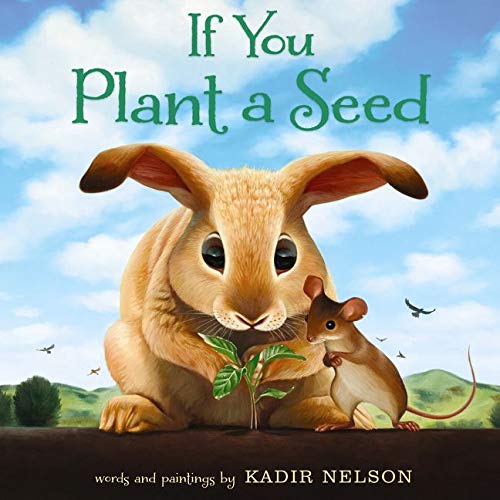 Book Cover If You Plant a Seed